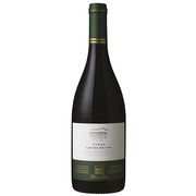 Viña Perez Cruz Limited Edition Syrah