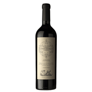 El Enemigo Gran Enemigo Luján de Cuyo Agrelo Cabernet Franc